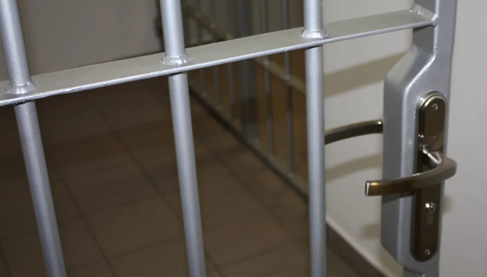 Ucieczka nietrzeźwej 24-latki zakończyła się aresztem - zdjęcie 1