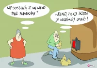 Galeria Marka Stawowczyka - zdjęcie główne