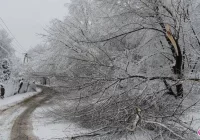 Jeszcze 600 domów bez prądu - zdjęcie główne