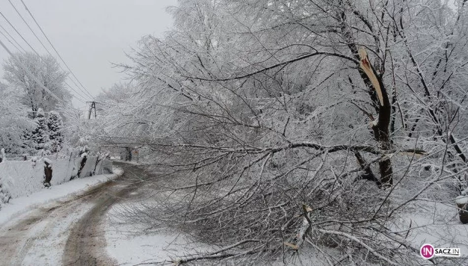 Jeszcze 600 domów bez prądu - zdjęcie 1