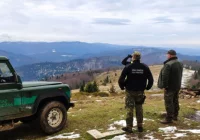 Lasy i szlaki turystyczne pod kontrolą - zdjęcie główne