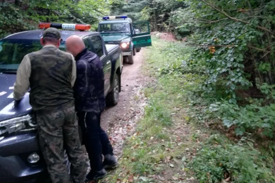 Lasy i szlaki turystyczne pod kontrolą - zdjęcie 4