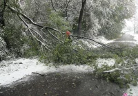 Strażacy mieli pełne ręce roboty - zdjęcie główne