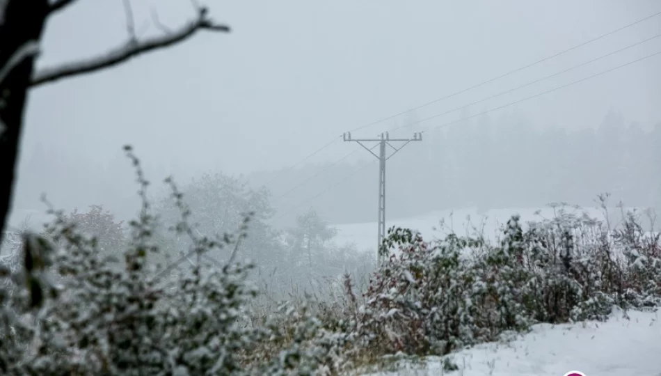 Awarie zasilania usunięte. Powodem był śnieg - zdjęcie 1