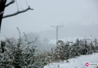 Awarie zasilania usunięte. Powodem był śnieg - zdjęcie główne