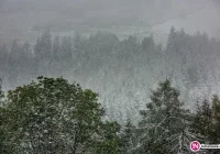 Mamy nie babie, a białe lato. Miejscami ślisko. Kolejne ostrzeżenie - zdjęcie główne