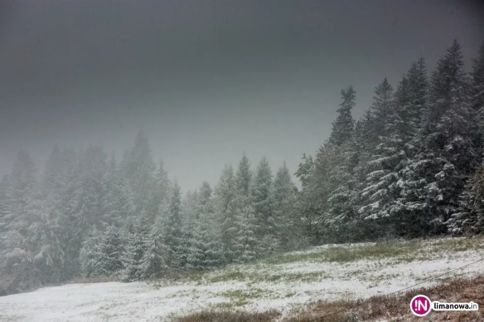 Mamy nie babie, a białe lato. Miejscami ślisko. Kolejne ostrzeżenie - zdjęcie 3