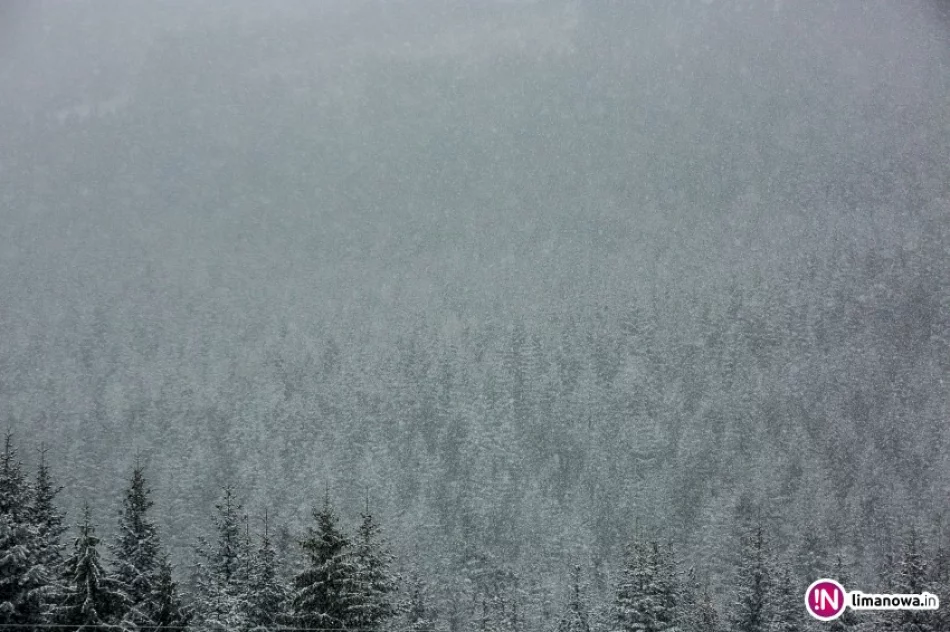 Mamy nie babie, a białe lato. Miejscami ślisko. Kolejne ostrzeżenie - zdjęcie 4