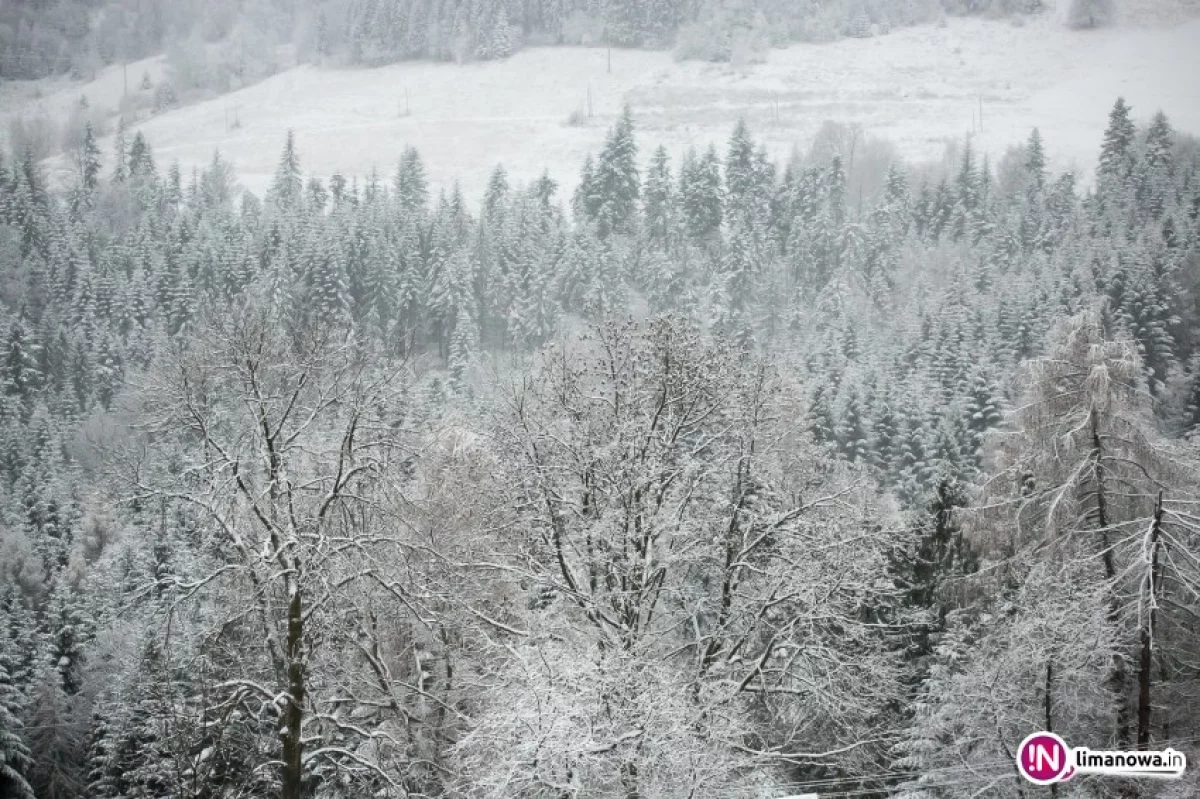 Ostrzeżenie o opadach śniegu - w górach nawet 15 cm!