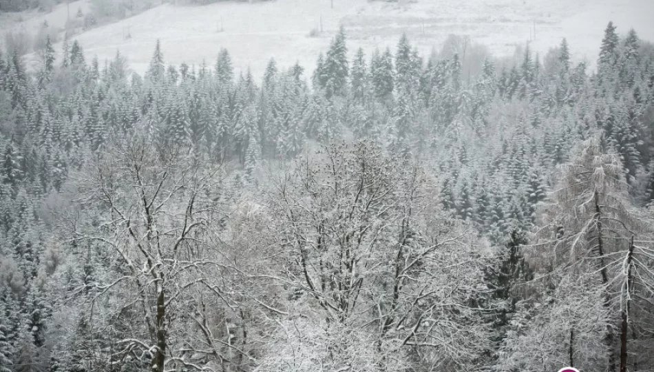 Ostrzeżenie o opadach śniegu - w górach nawet 15 cm! - zdjęcie 1