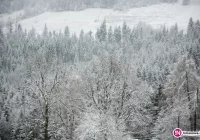Ostrzeżenie o opadach śniegu - w górach nawet 15 cm! - zdjęcie główne