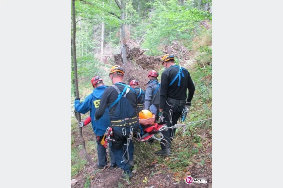 GOPR szkolił się na wysokościach - zdjęcie 3