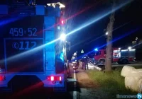 Zasnął za kierownicą i uderzył w drzewo - zdjęcie główne