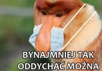 "Dziennik zarazy": zaraza opanowana! - zdjęcie główne