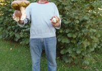 Mimo wakacyjnej suszy można znaleźć rekordowe okazy - zdjęcie główne