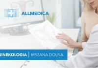 Ginekologia w pełnym zakresie w All Medica w Mszanie Dolnej! - zdjęcie główne