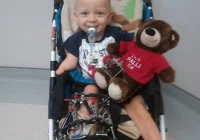 Kubuś już w domu - zabieg się powiódł - zdjęcie główne