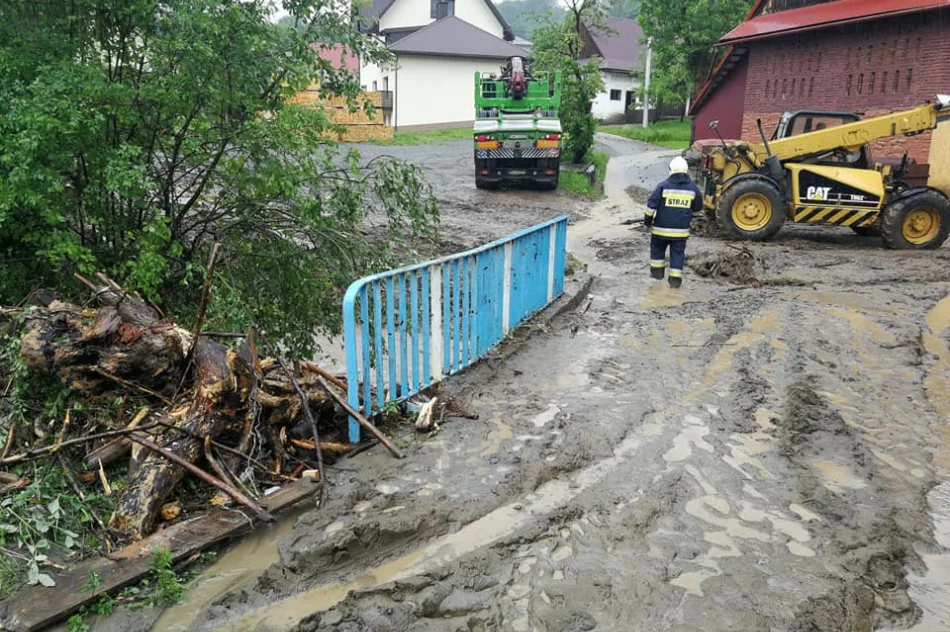 Podtopienia po intensywnym deszczu. Interweniowali strażacy - zdjęcie 5
