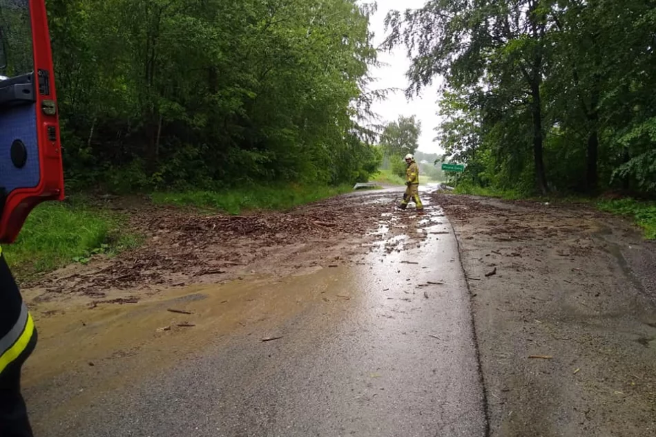 Podtopienia po intensywnym deszczu. Interweniowali strażacy - zdjęcie 6