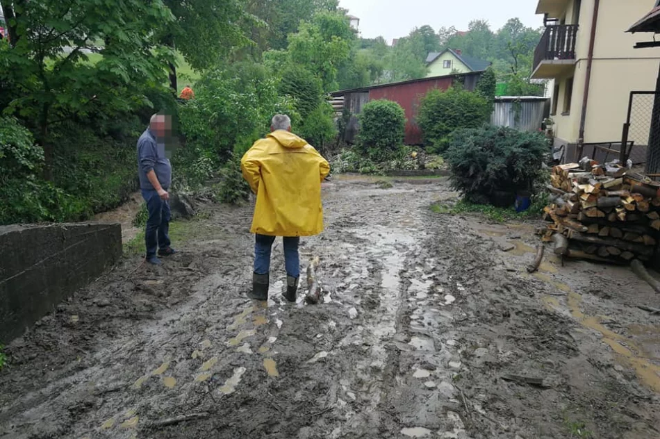 Podtopienia po intensywnym deszczu. Interweniowali strażacy - zdjęcie 9