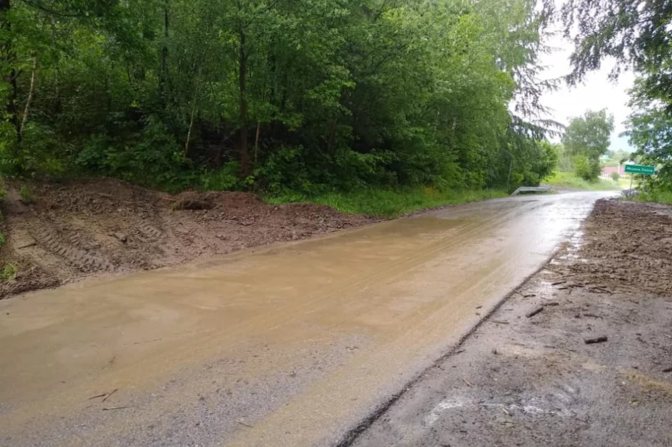 Podtopienia po intensywnym deszczu. Interweniowali strażacy - zdjęcie 10