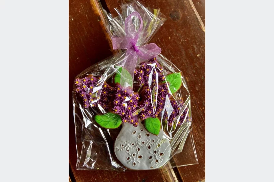 Dobrze wykorzystali czas przymusowej izolacji - zdjęcie 7