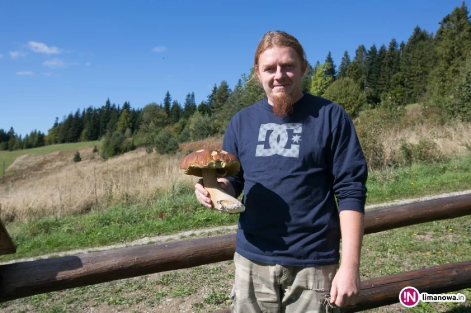 Grzyby są, czy nie ma? Są i to zobacz jakie! - zdjęcie 2