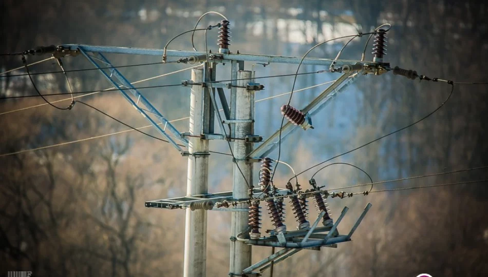 Grupowy zakup energii daje 88 tys. zł oszczędności - zdjęcie 1