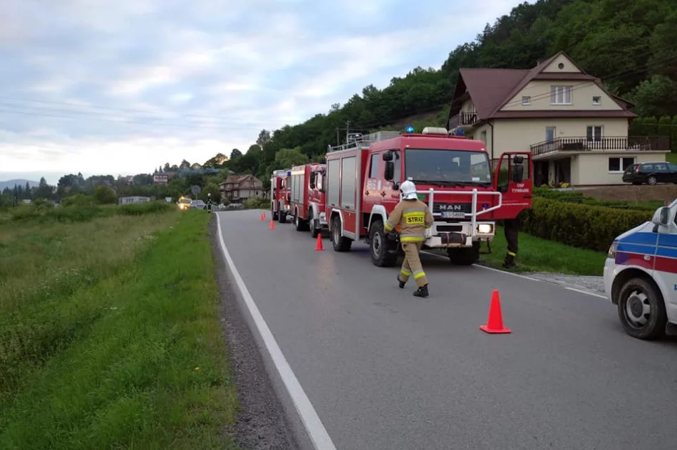 Samochód wypadł z jezdni, 19-latka ukarana mandatem - zdjęcie 2