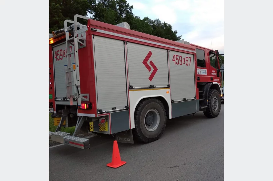 Samochód wypadł z jezdni, 19-latka ukarana mandatem - zdjęcie 3