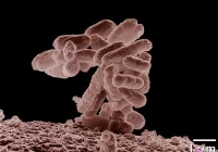 Zamknięto oddział zakaźny: w wodzie wykryto bakterie coli - zdjęcie główne