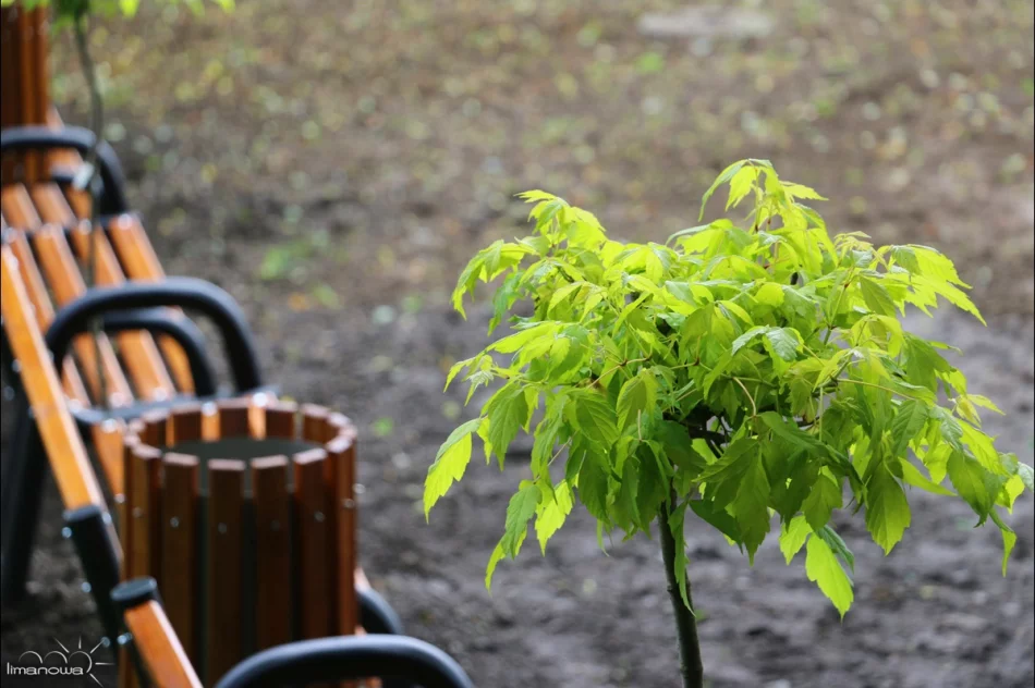 OTWARTA STREFA AKTYWNOŚCI (OSA) - ODBIÓR TECHNICZNY INWESTYCJI - zdjęcie 17