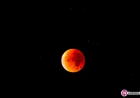 Spałeś w nocy? To nic, zobacz jak wyglądało zaćmienie (zdjęcia i wideo) - zdjęcie główne