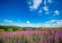 Synoptyczna prognoza pogody na weekend - zdjęcie główne