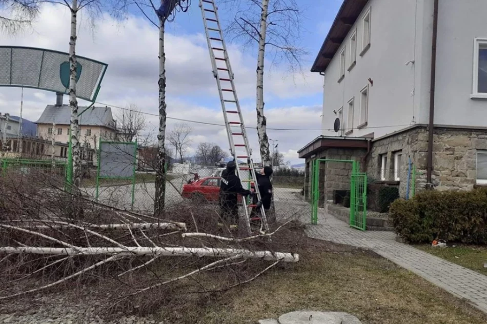 Prace przy stadionie - pomagają samorząd i lokalni przedsiębiorcy - zdjęcie 5