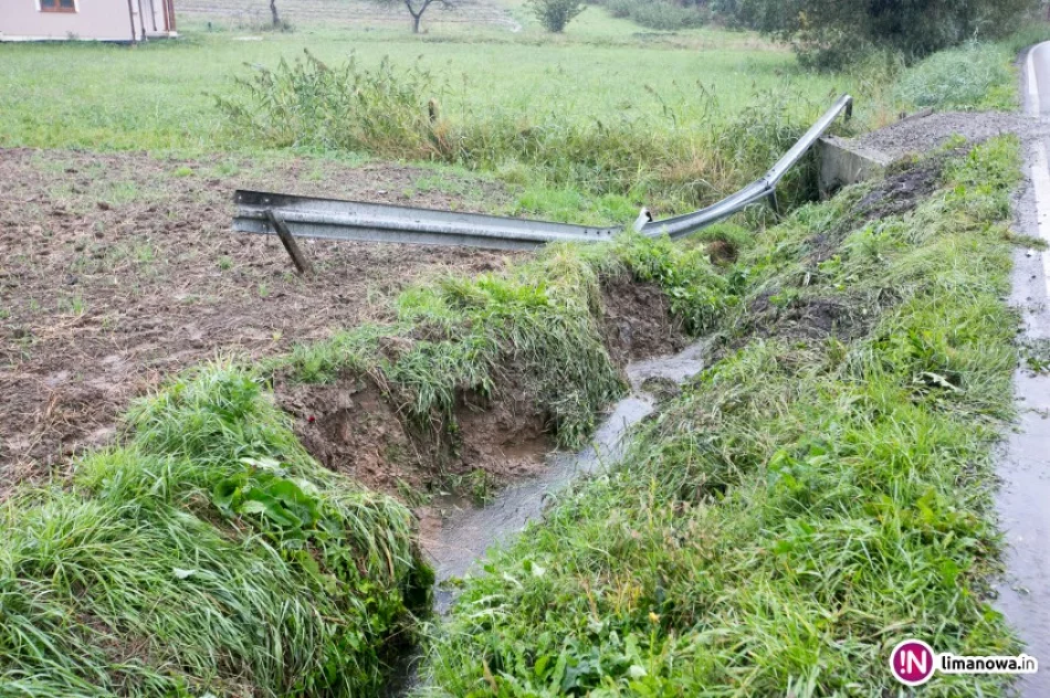 Samochód wypadł z drogi i wyrwał barierę - zdjęcie 2