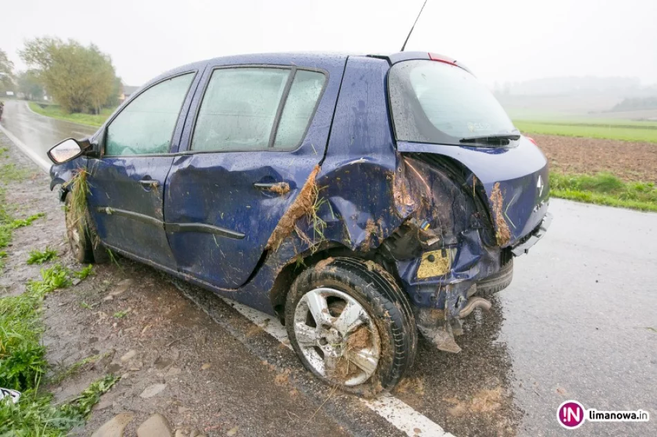 Samochód wypadł z drogi i wyrwał barierę - zdjęcie 3