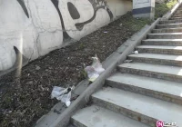 Nowy Sącz najczystszy w Polsce? - zdjęcie główne