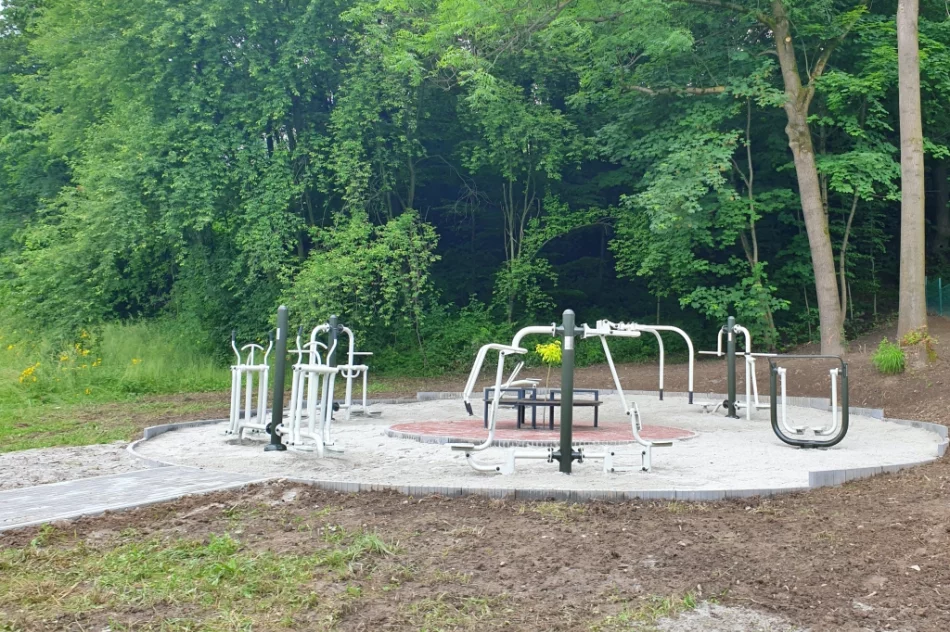 Końcowe prace przy rekreacyjnym obiekcie - zdjęcie 7