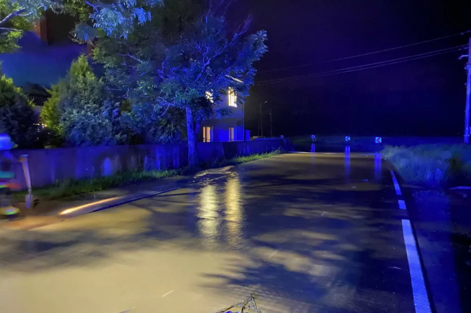 Ulewy: 300 interwencji straży, w poniedziałek 22 domy podtopione. Prezydent w Łapanowie - zdjęcie 17