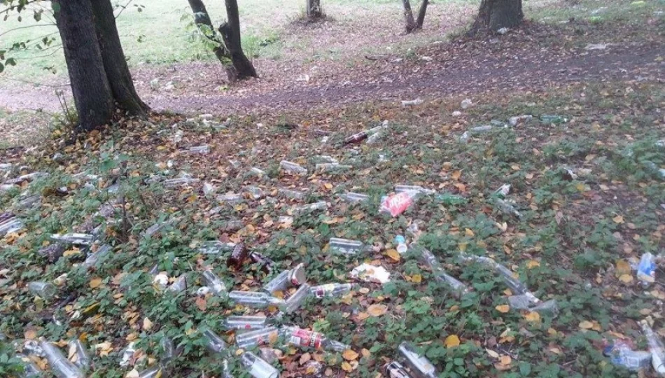 Fotointerwencja: dzikie wysypisko... butelek po alkoholu - zdjęcie 1