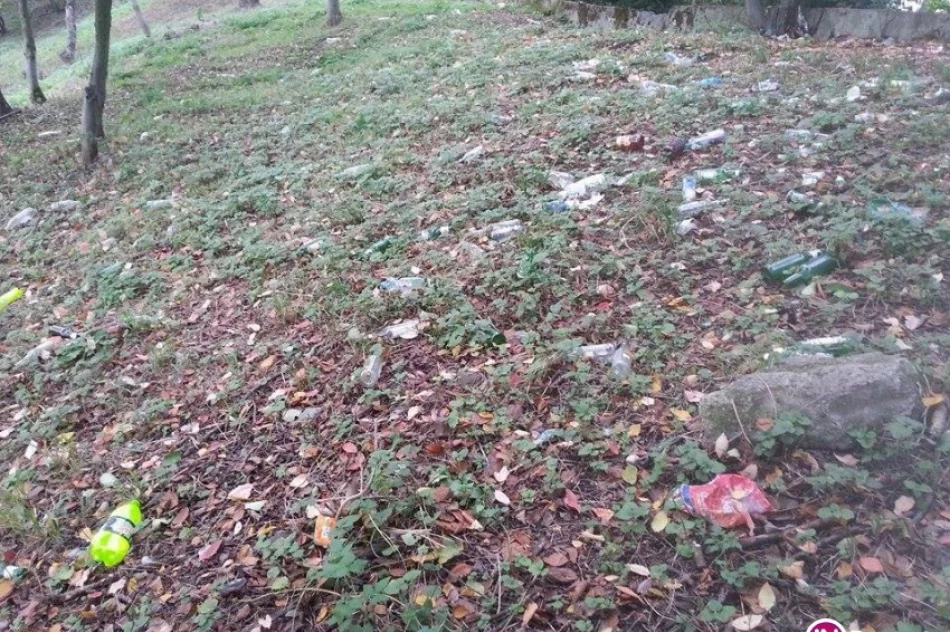 Fotointerwencja: dzikie wysypisko... butelek po alkoholu - zdjęcie 2