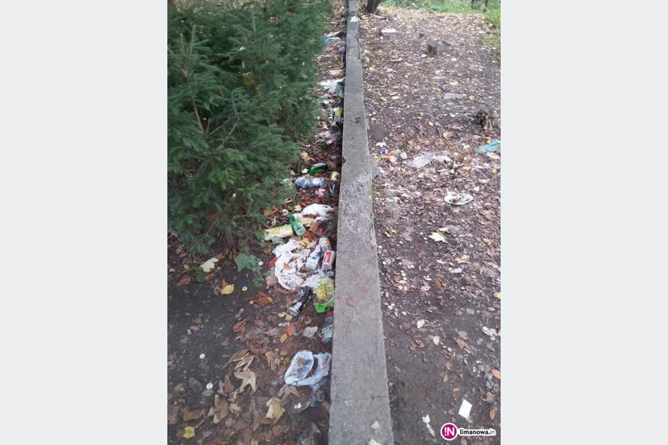 Fotointerwencja: dzikie wysypisko... butelek po alkoholu - zdjęcie 3