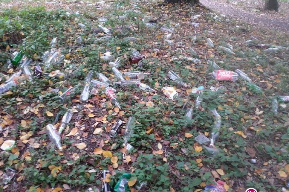 Fotointerwencja: dzikie wysypisko... butelek po alkoholu - zdjęcie 4