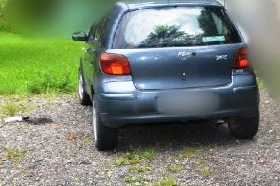 Dwóch 19-latków obrzuciło samochód koktajlami mołotowa - zdjęcie 2