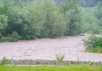 Ciało 84-latka w korycie potoku - zdjęcie główne