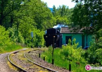 Pociąg specjalny nie pojedzie - kolej zamyka tory dla przejazdów osobowych. 'Lokomotywa' apeluje - zdjęcie główne