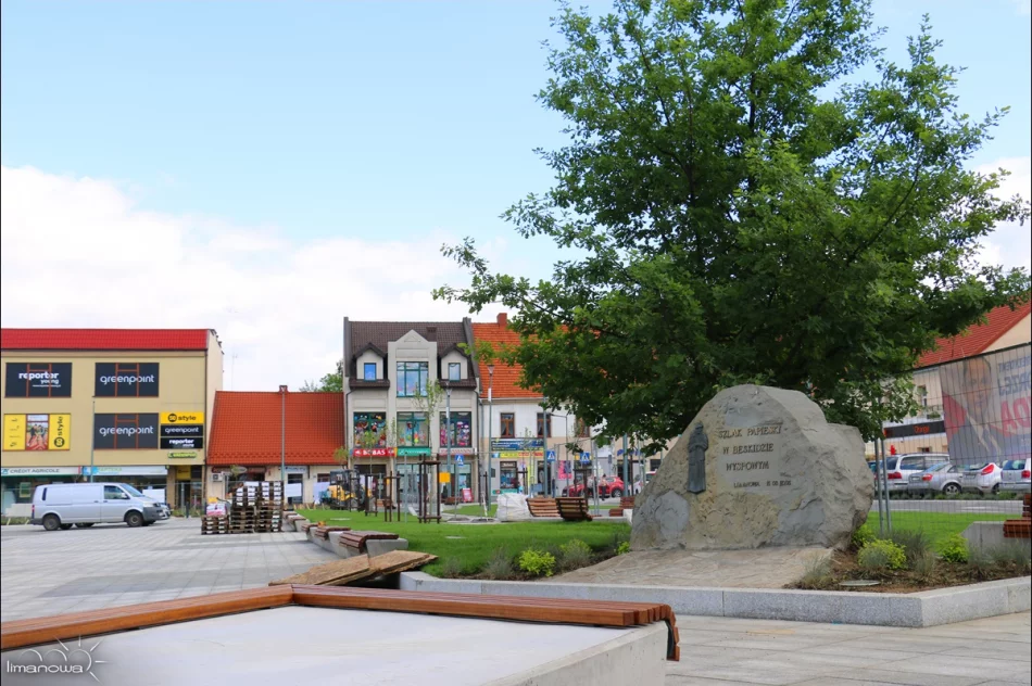 ROŚLINNOŚĆ NA LIMANOWSKIM RYNKU - zdjęcie 9