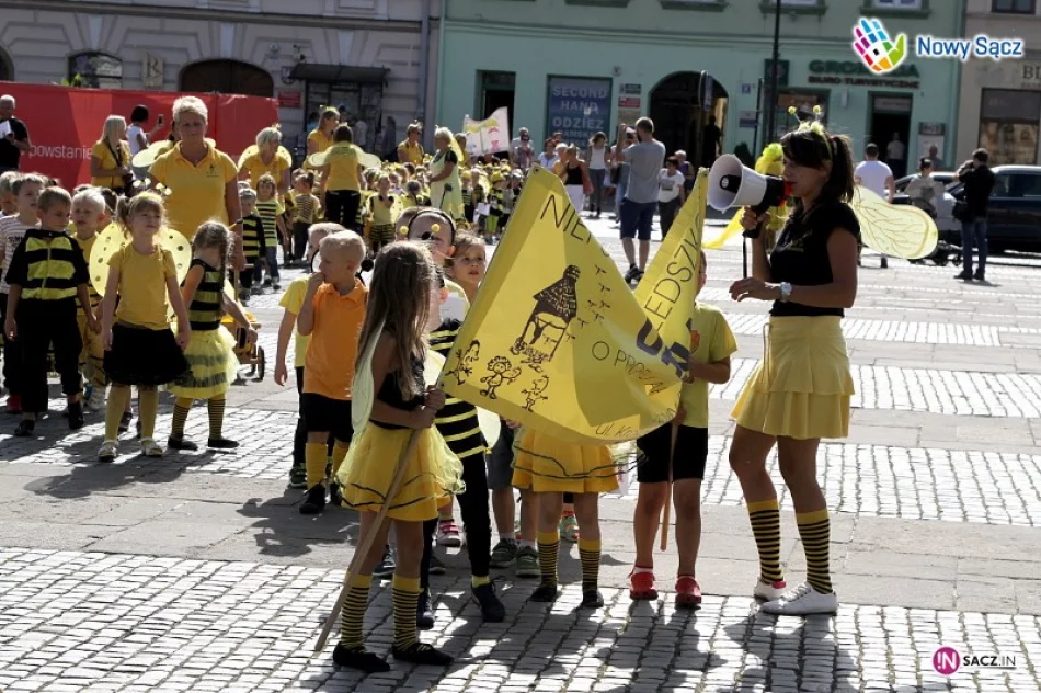 Pszczeli korowód przemaszerował pod sądecki ratusz - zdjęcie 3