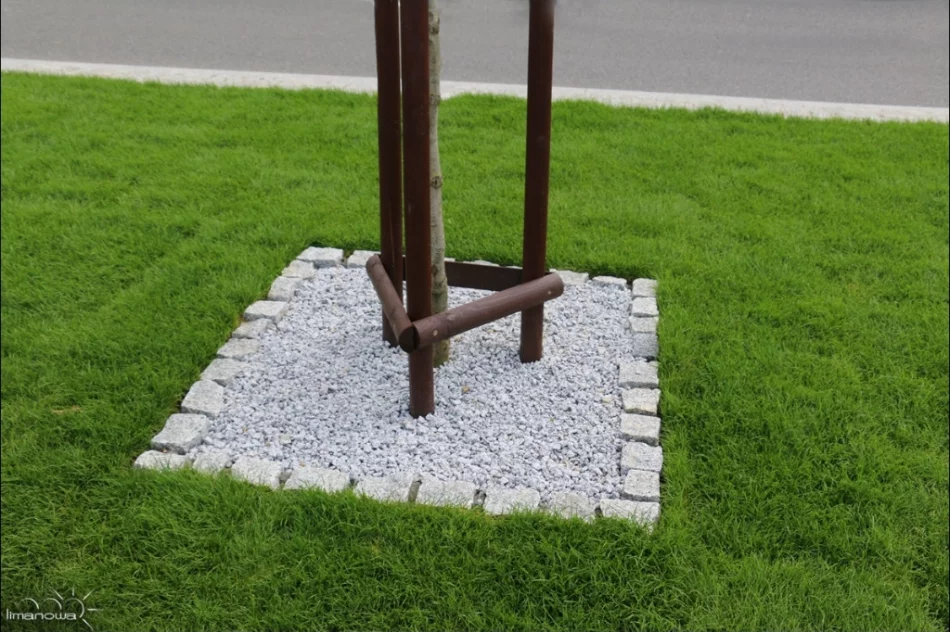 Kilka tysięcy roślin na rynku i nowa fontanna - zdjęcie 13